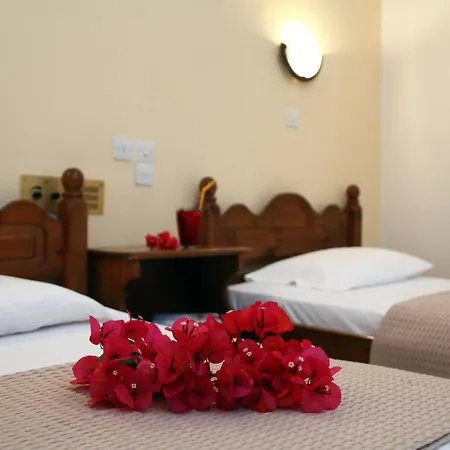 The Filoxenia Apartments,